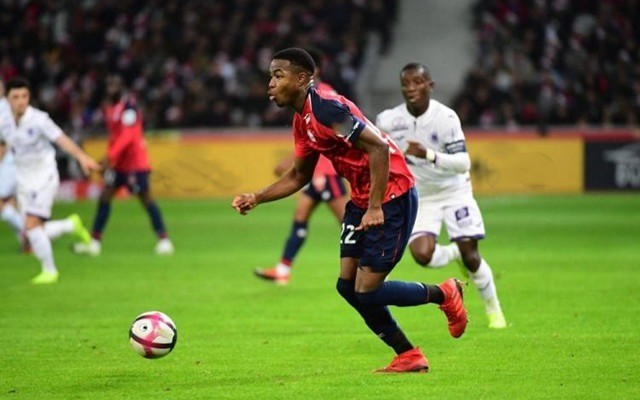 則是為了確 則是為了確