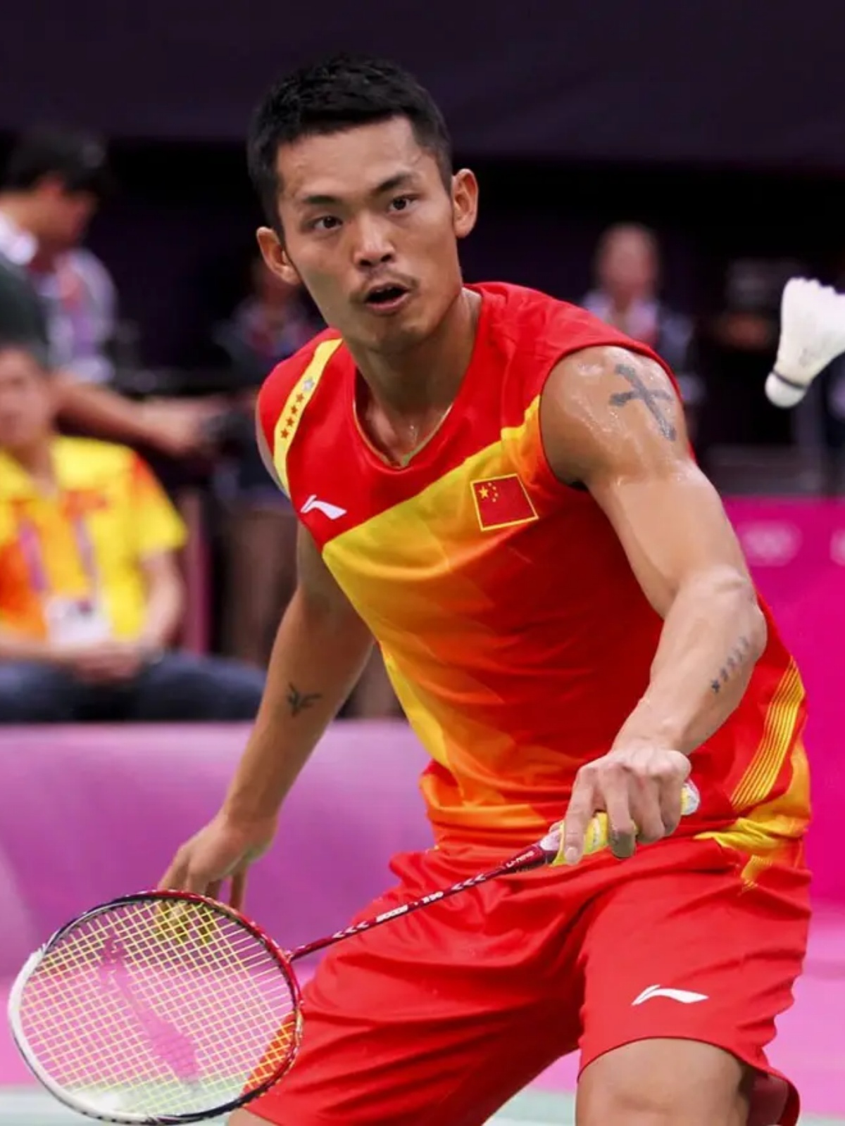 稳定性需要 稳定性需要