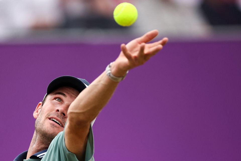 国家政策的 国家政策的