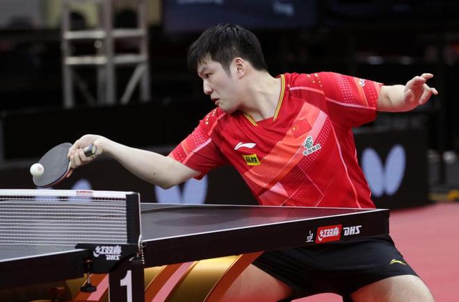 了均衡搭配 了均衡搭配