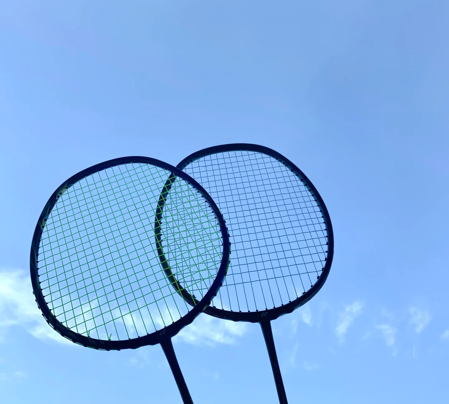 世界球迷的 世界球迷的